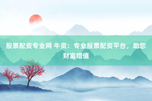 股票配资专业网 牛资：专业股票配资平台，助您财富增值