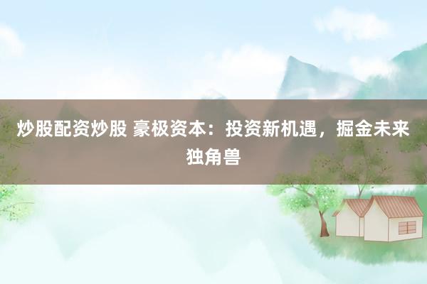 炒股配资炒股 豪极资本：投资新机遇，掘金未来独角兽