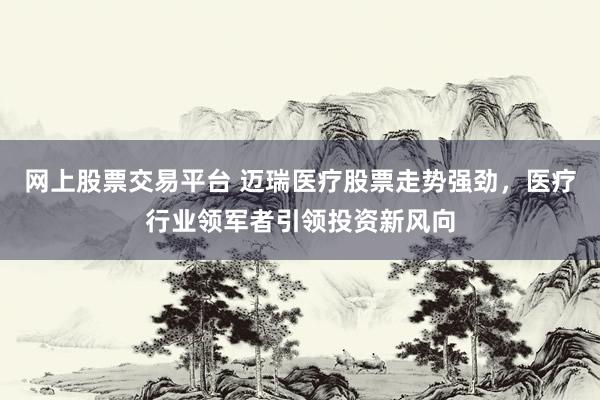 网上股票交易平台 迈瑞医疗股票走势强劲，医疗行业领军者引领投资新风向
