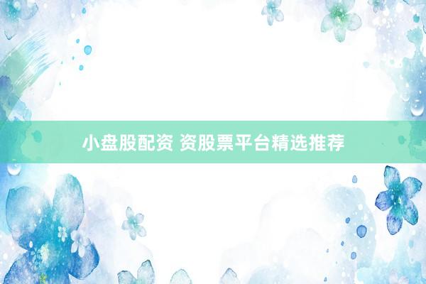 小盘股配资 资股票平台精选推荐