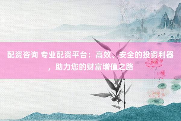配资咨询 专业配资平台：高效、安全的投资利器，助力您的财富增值之路