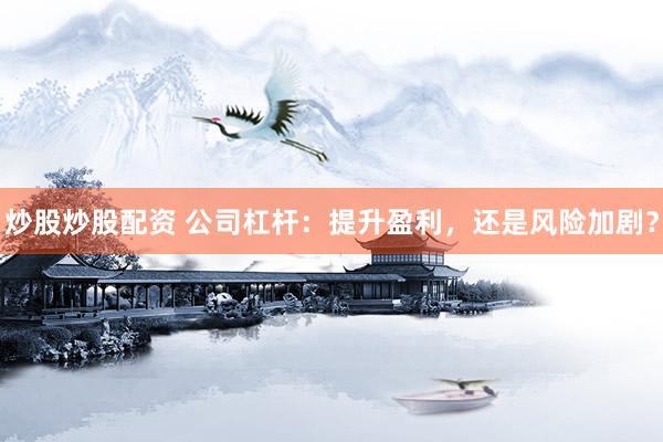 炒股炒股配资 公司杠杆：提升盈利，还是风险加剧？