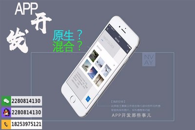 APP原生开发与混合开发优劣势 软件开发图片_高清图_细节图